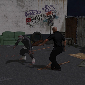 Use of Force