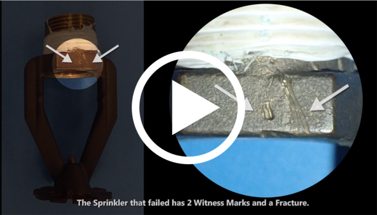 Sprinkler Animation